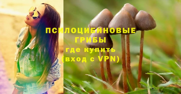 прущие крисы Волосово