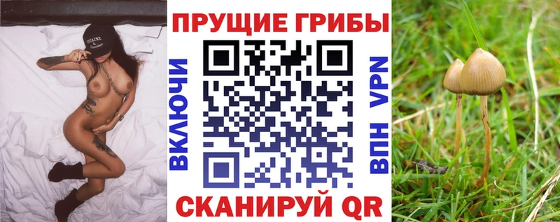 Галлюциногенные грибы ЛСД  цены наркотик  Стерлитамак 